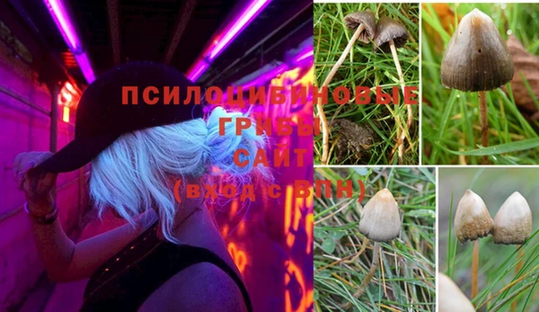 спайс Алзамай