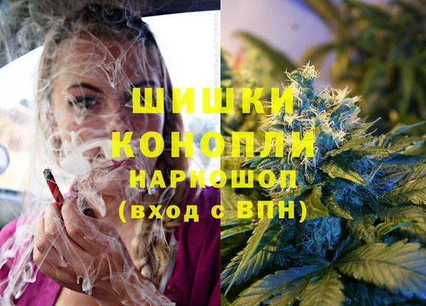 спайс Алзамай