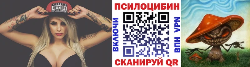 Псилоцибиновые грибы мухоморы мега ссылки Закаменск купить наркотик